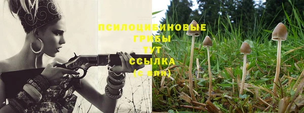 MESCALINE Арсеньев